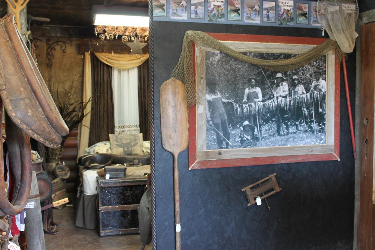 Black Bear Motel Davenport Dış mekan fotoğraf